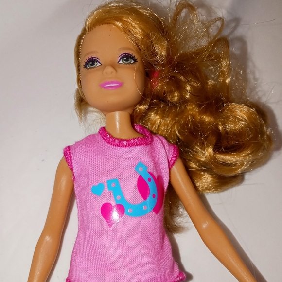 5 Barbie dolls 2009, 2010 & 2015 - Picture 8 of 16